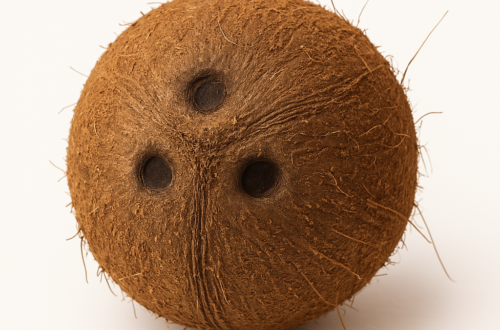 Perché le noci di cocco hanno tre buchi